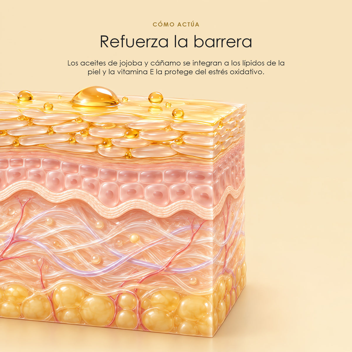 Cómo refuerza la barrera cutánea el Aceite Facial