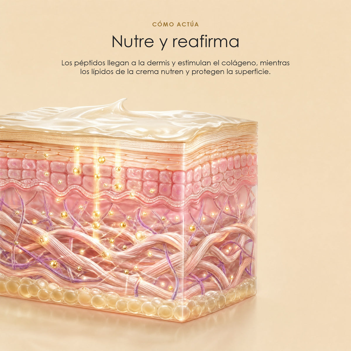 Cómo nutre y reafirma la Crema Nutritiva