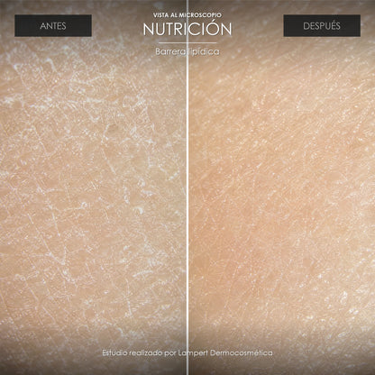 Vista al microscopio: nutrición antes y después