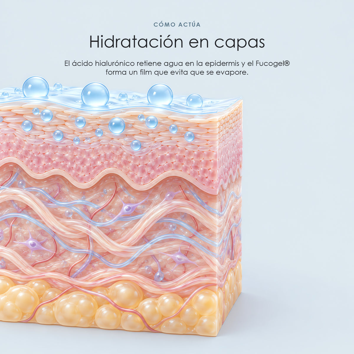 Cómo actúa el ácido hialurónico en la piel