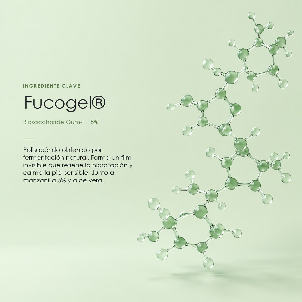 Fucogel®, ingrediente clave del Tónico de Aloe Vera Lampert
