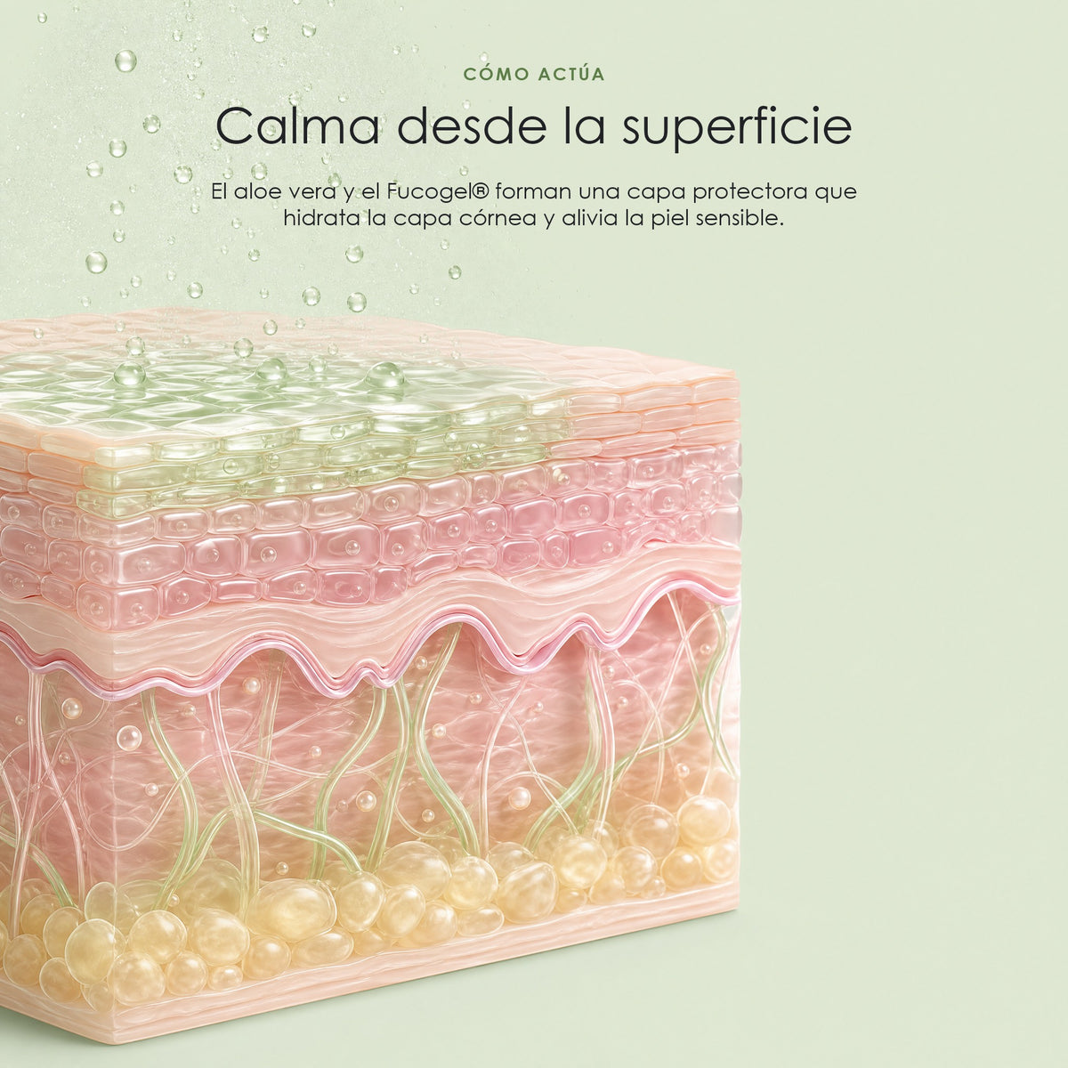 Cómo actúa el tónico en las capas de la piel